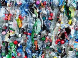 botellas de plastico Imagen de Hans en Pixabay