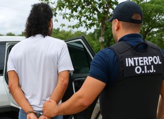 Cuarto costarricense detenido en Costa Rica por extradición a Italia por vínculos con la mafia ‘Ndrangheta Agente de INTERPOL O.I.J. escolta a un hombre esposado durante una operación de captura en Costa Rica