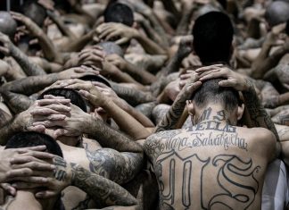 El CECOT: la megacárcel donde El Salvador encierra a sus pandilleros Cecot- El Salvador